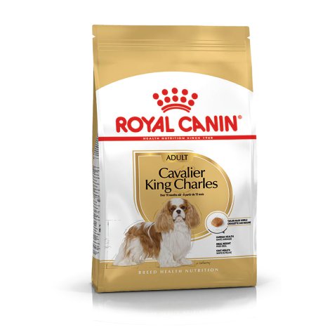 ROYAL CANIN Hundetrockenfutter Cavalier King Charles 1,5 kg