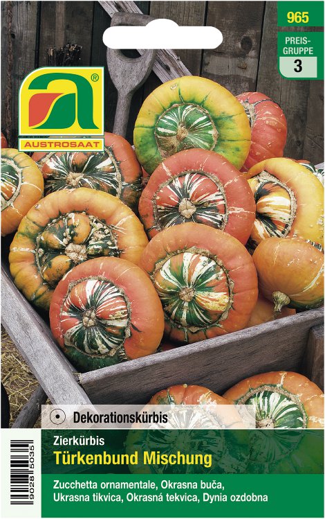 Zierkürbis Türkenbund