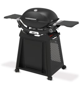 WEBER® Gasgriller Q 2200N mit Stand