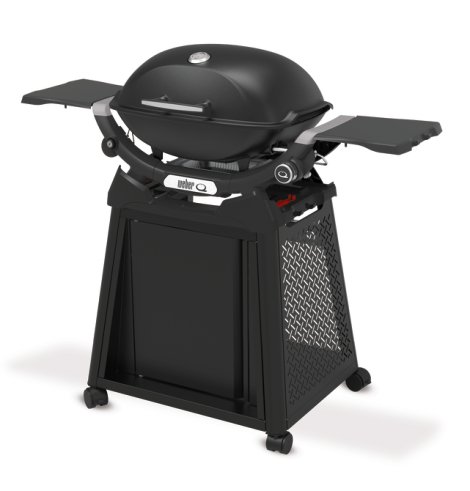 WEBER® Gasgriller Q 2200N mit Stand