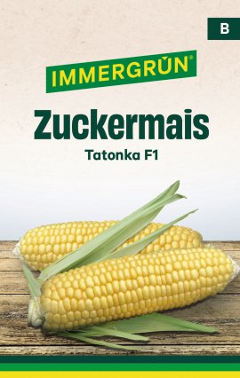 IMMERGRÜN Tütensamen Zuckermais Tatonka F1