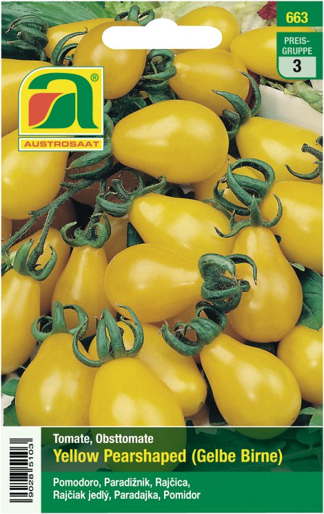 Tütensamen Tomanten Yellow Pearshaped