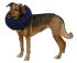 Hunde-Halskrause aufblasbar für 25-35 cm