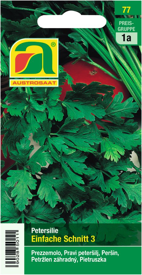 Petersilie Einfache Schnitt 3