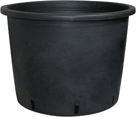 GELI Baumcontainer Kunststoff Schwarz 22 cm