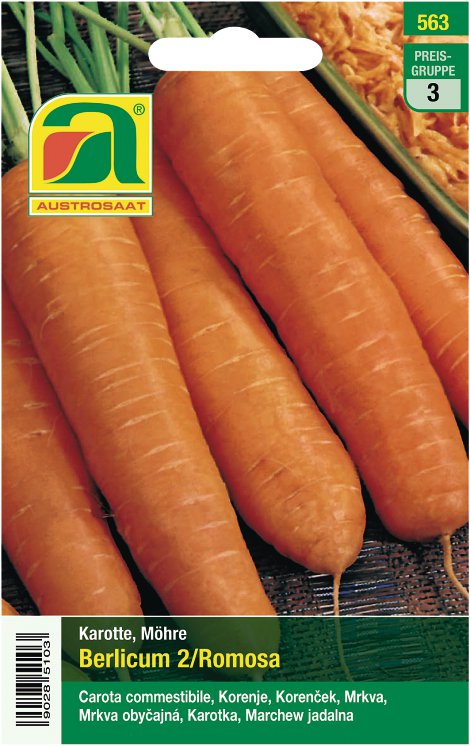 Karotten Berlicum 2/Romosa