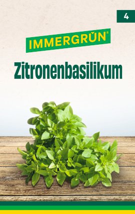 IMMERGRÜN Zitronenbasilikum