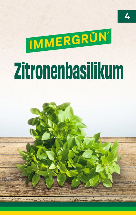 IMMERGRÜN TütensamenEN Zitronenbasilikum