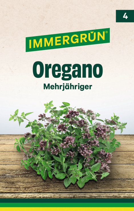 IMMERGRÜN Tütensamen Oregano Dost Mehrjähriger