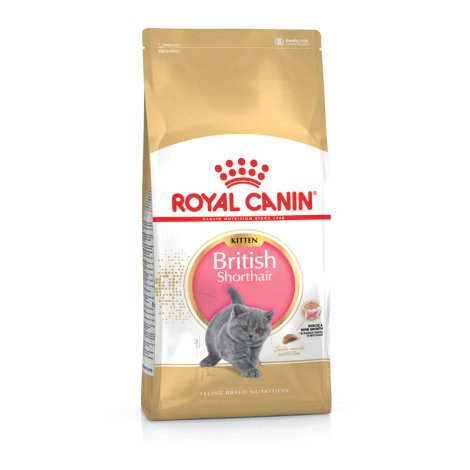ROYAL CANIN Katzentrockenfutter Kitten British Shorthair 0,4 kg