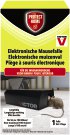 Bild vergrößern