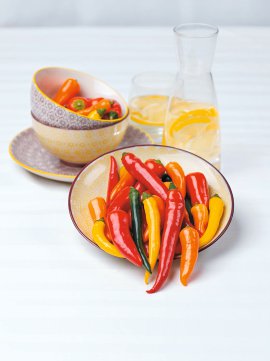 Bio Gemüse-Jungpflanzen