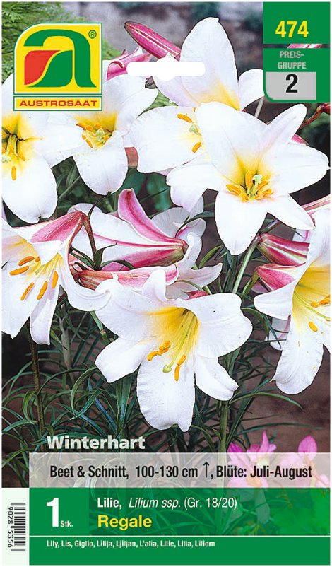 Lilien Regale