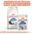 Bild vergrößern