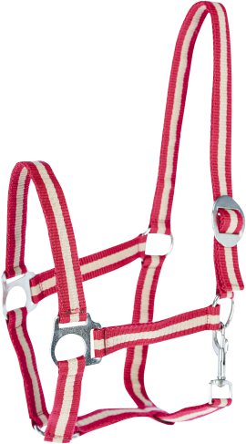 Nylonhalfter Hippo, bordeaux / beige