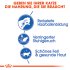 Bild vergrößern