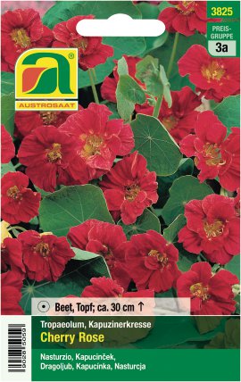 Tütensamen Tropaeolum Cherry Rose