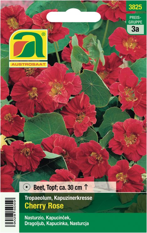 Tütensamen Tropaeolum Cherry Rose