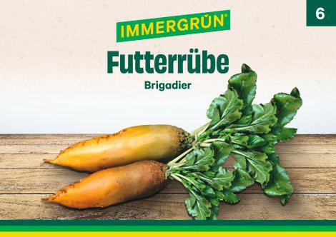 IMMERGRÜN Tütensamen Futterrübe Brig