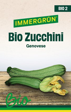 IMMERGRÜN Tütensamen BIO Zucchini Genovese