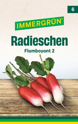 IMMERGRÜN Tütensamen Radieschen Flamboyant 2