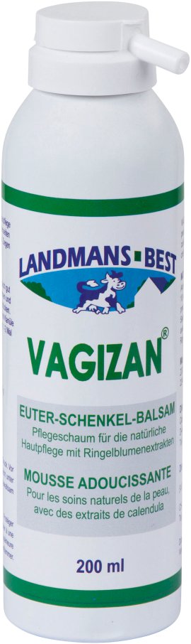VAGIZAN Pflegeschaum 200 ml
