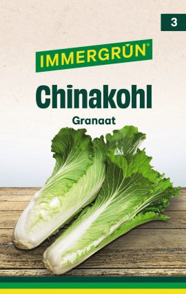 IMMERGRÜN Tütensamen Chinakohl Granaat