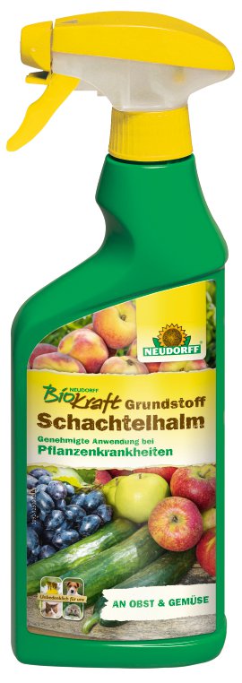 NEUDORFF BioKraft Grundstoff Schachtelhalm AF 500 ml