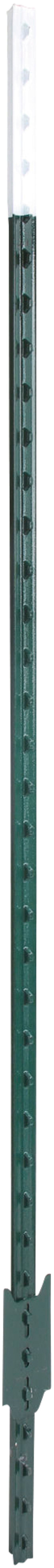 T-Pfahl grün lackiert, 213 cm