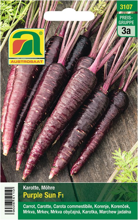 Karotten Purple Sun F1, violett