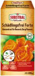 Bild vergrößern