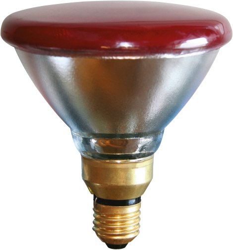Infrarot-Sparlampe 100 W, rot