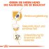 Bild vergrößern