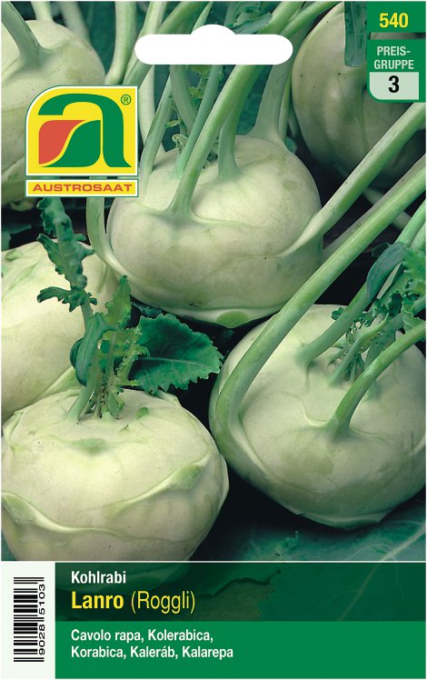 Kohlrabi Lanro, weiß