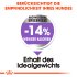 Bild vergrößern