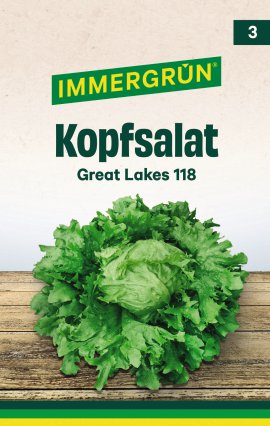 IMMERGRÜN Tütensamen Kopfsalat Great Lakes 118