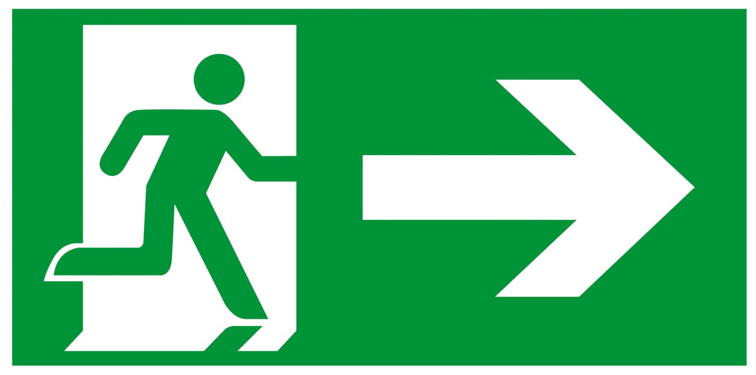 ALPERTEC Schild Notausgang rechts 30x15 cm