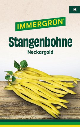 IMMERGRÜN Tütensamen Stangenbohne Neckargold