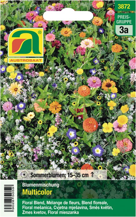 Blumenmischung Multicolor