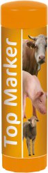 Bild vergrößern