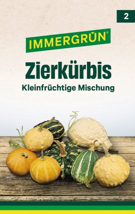 IMMERGRÜN Tütensamen Zierkürbis Kleinfrüchtige Mischung