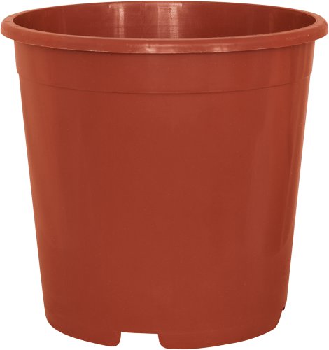 GELI Containertopf Terrakotta 33 cm