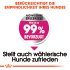 Bild vergrößern