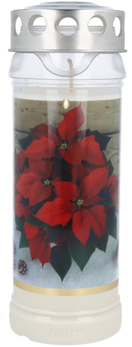 Motivlicht Premium Weihnachtsstern