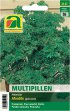 Bild vergrößern