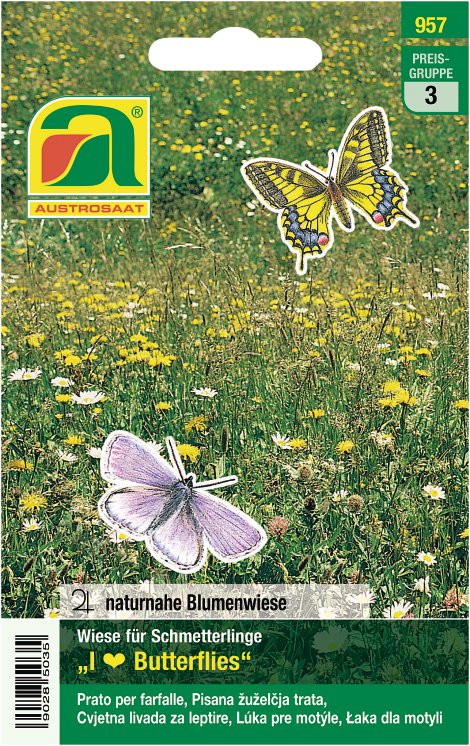 Wiese für Schmetterlinge