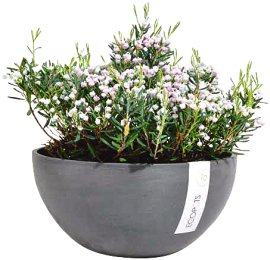 LIENBACHER Pflanztopf Tropea Anthrazit Ø 40 cm H 70 cm