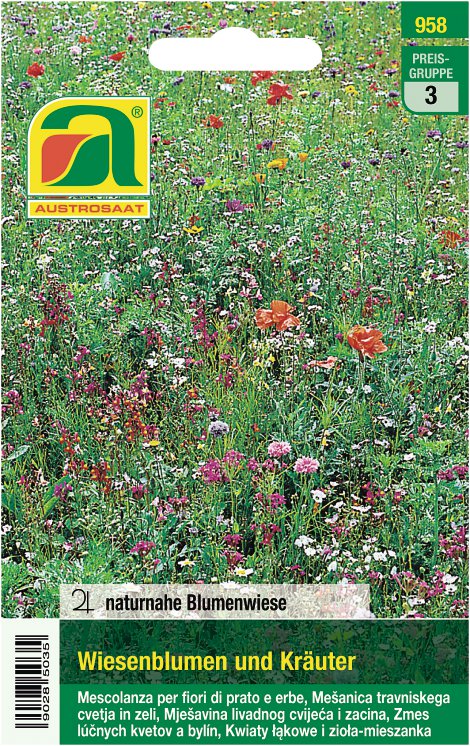 Tütensamen Wiesenblumen-Kräutermischung