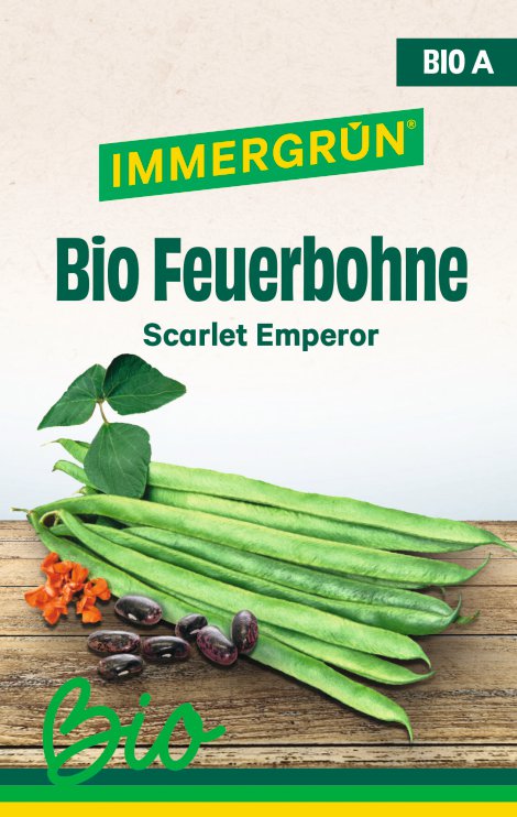 IMMERGRÜN Tütensamen BIO Feuerbohne Scarlet Emperor