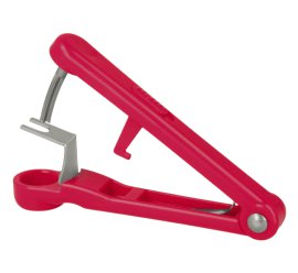 Kirschentkerner Lady-Kirsch